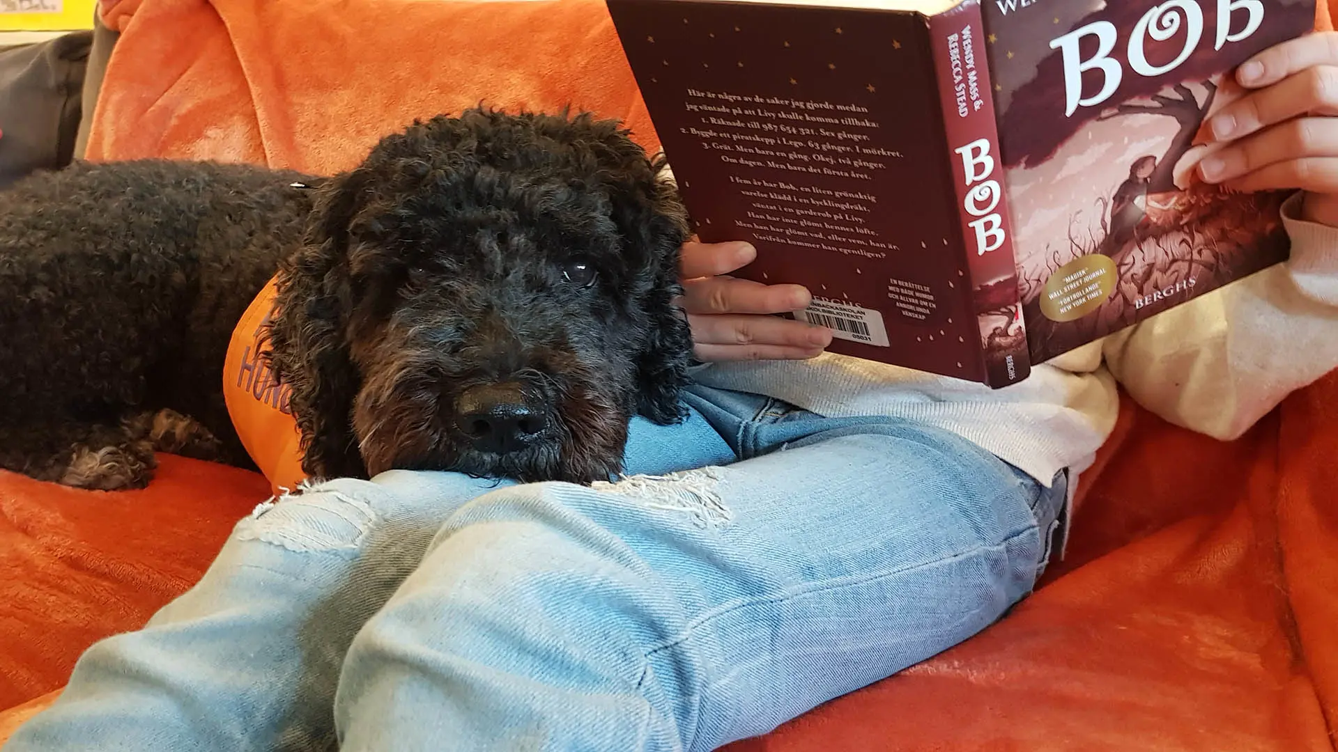 Hunden Yoshi läser när eleverna läser på biblioteket