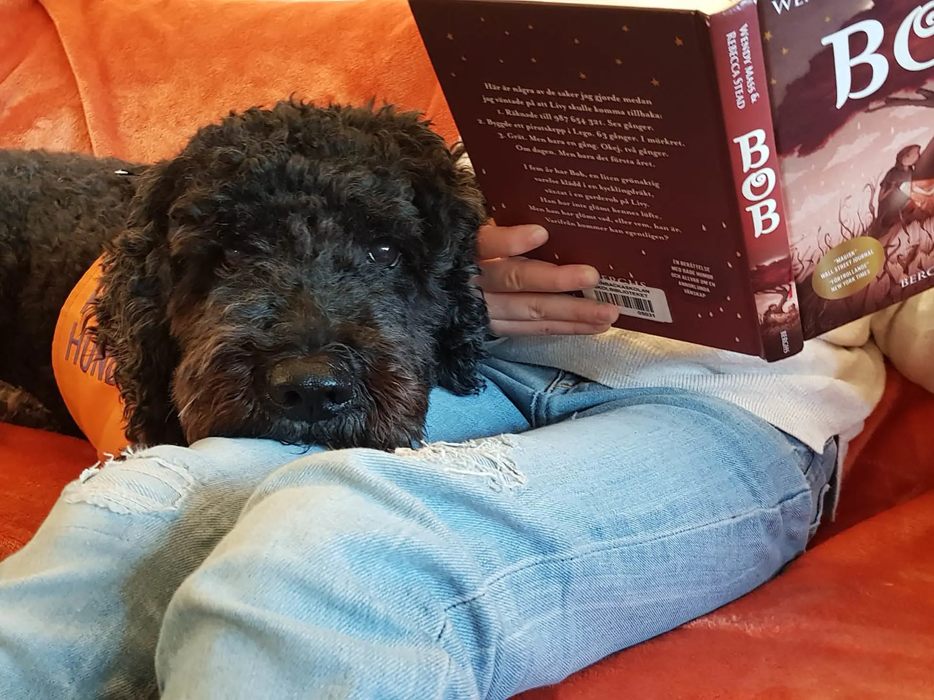 Hunden Yoshi läser när eleverna läser på biblioteket