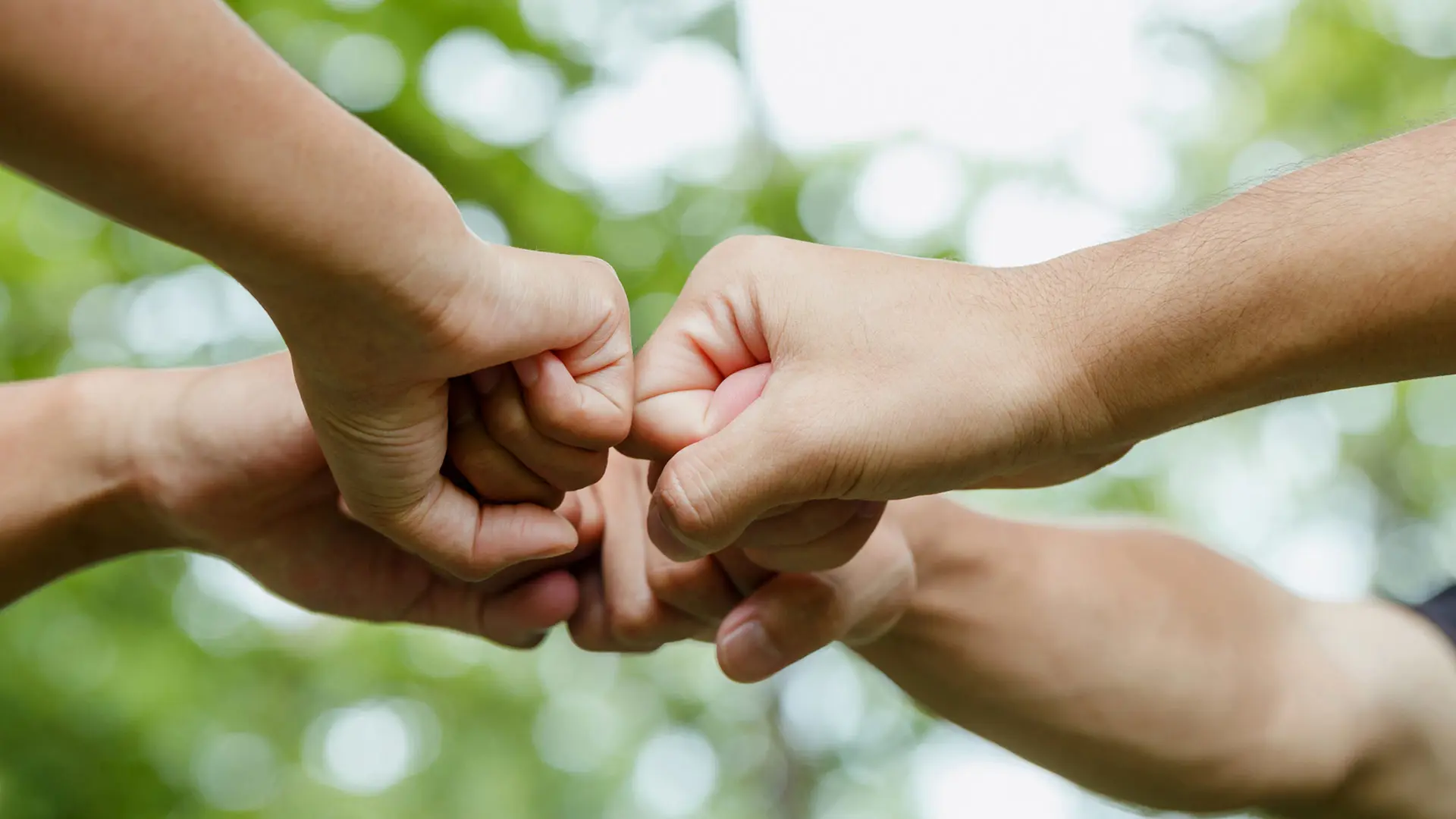 Four hands coming together in a fist bump outdoors, symbolizing teamwork, unity, and collaboration, with a blurred green background of trees."  Danish: "Fire hænder, der mødes i et knytnævestød udendørs, s