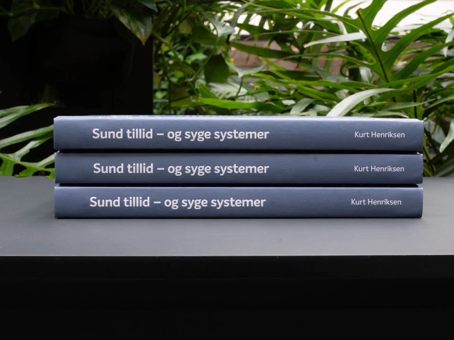 Stak af bøger. Sund tillid - og syge systemer.