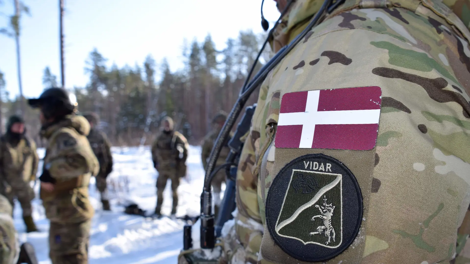 Military man with Danish uniform outside in the snow