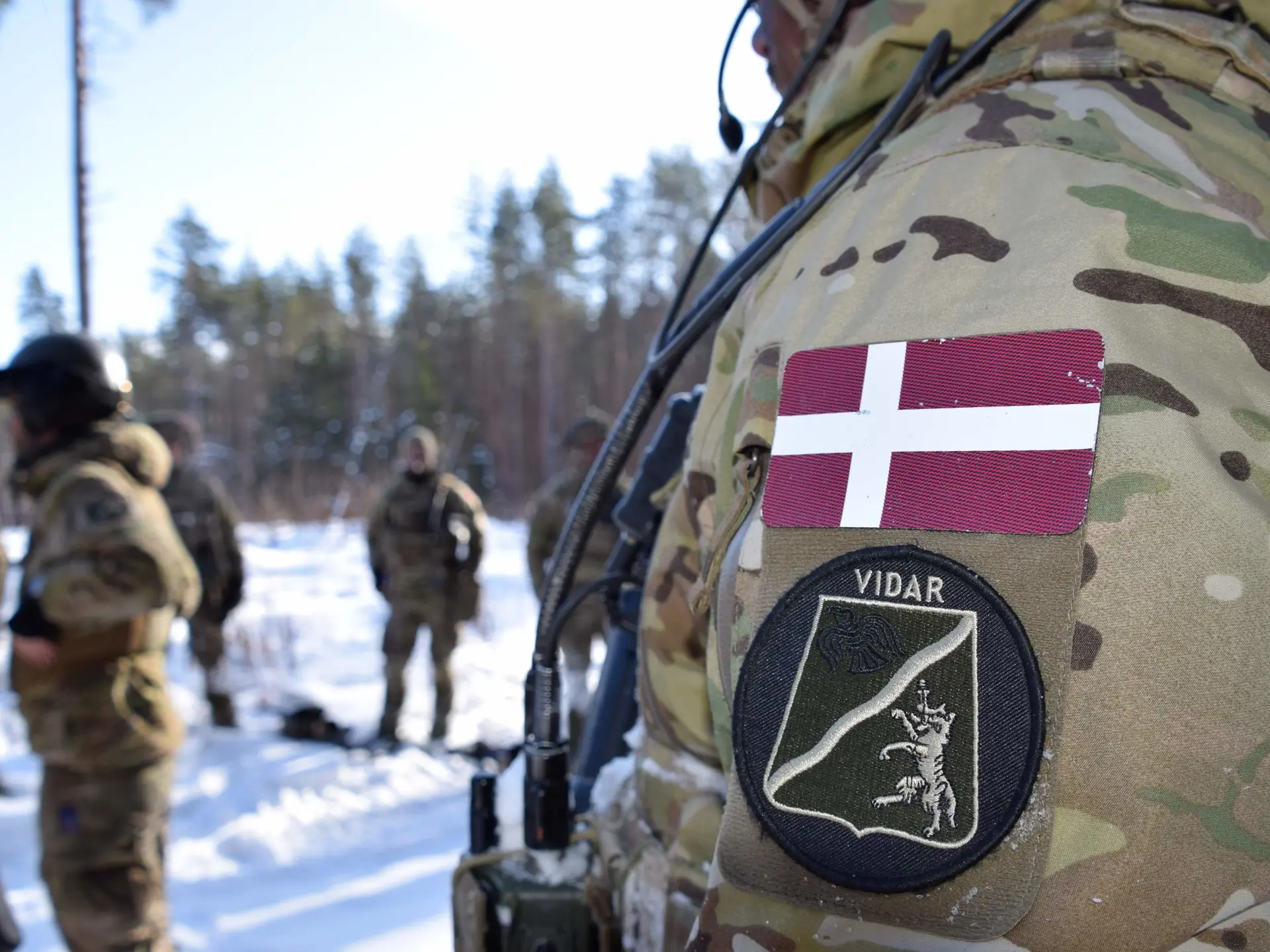 Military man with Danish uniform outside in the snow