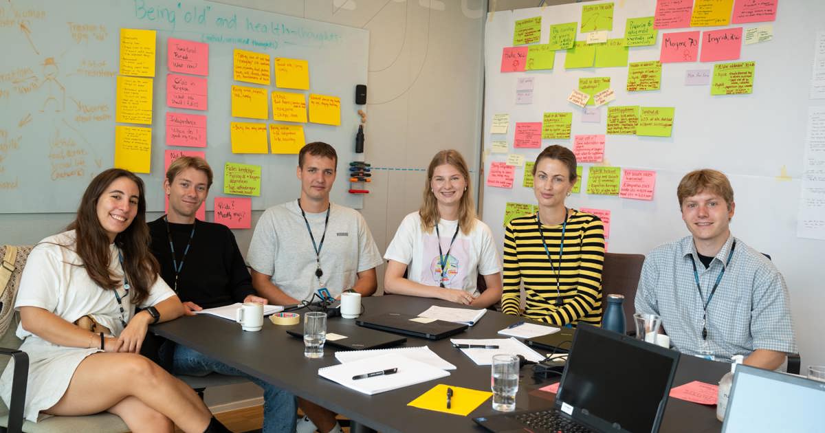 Six students will help Systematic solve a wild problem