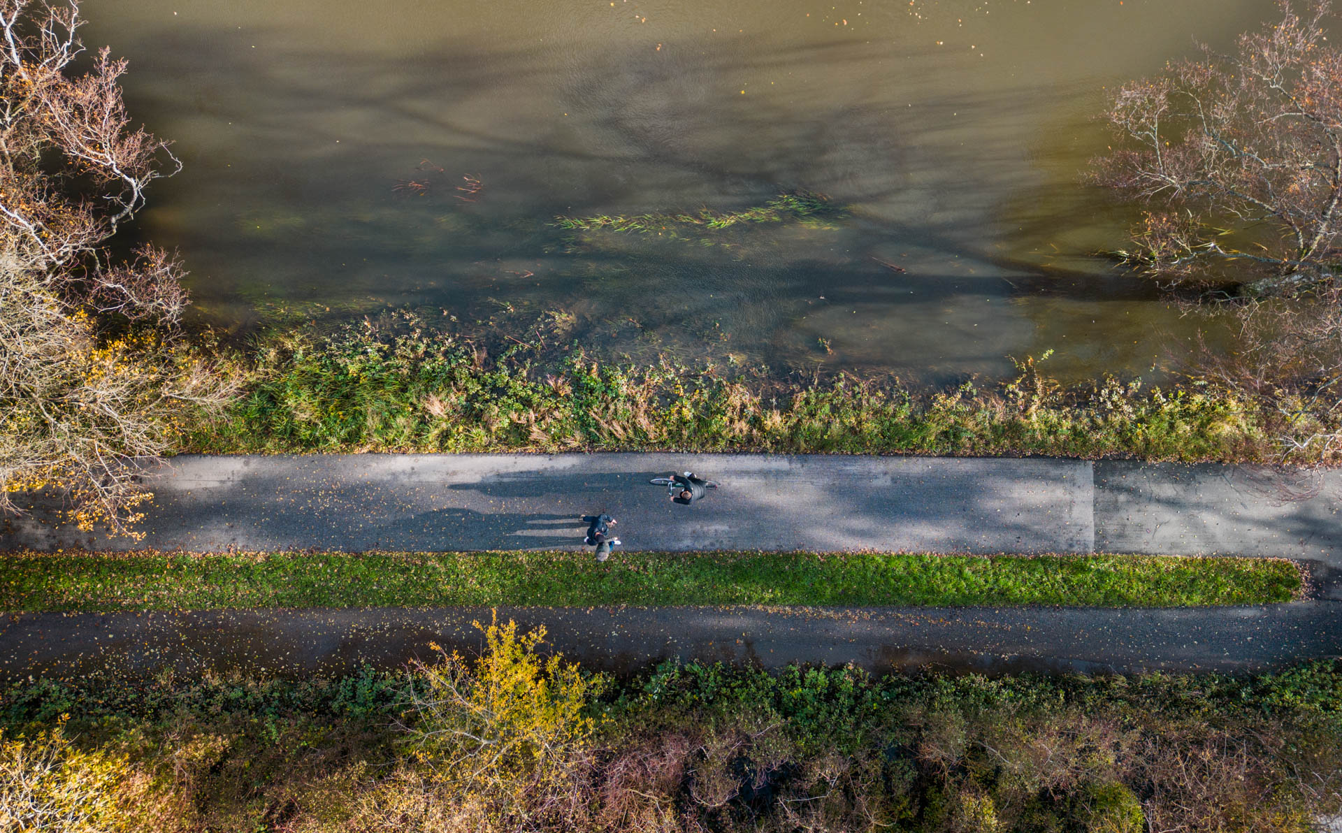 Employees walking in Aarhus
