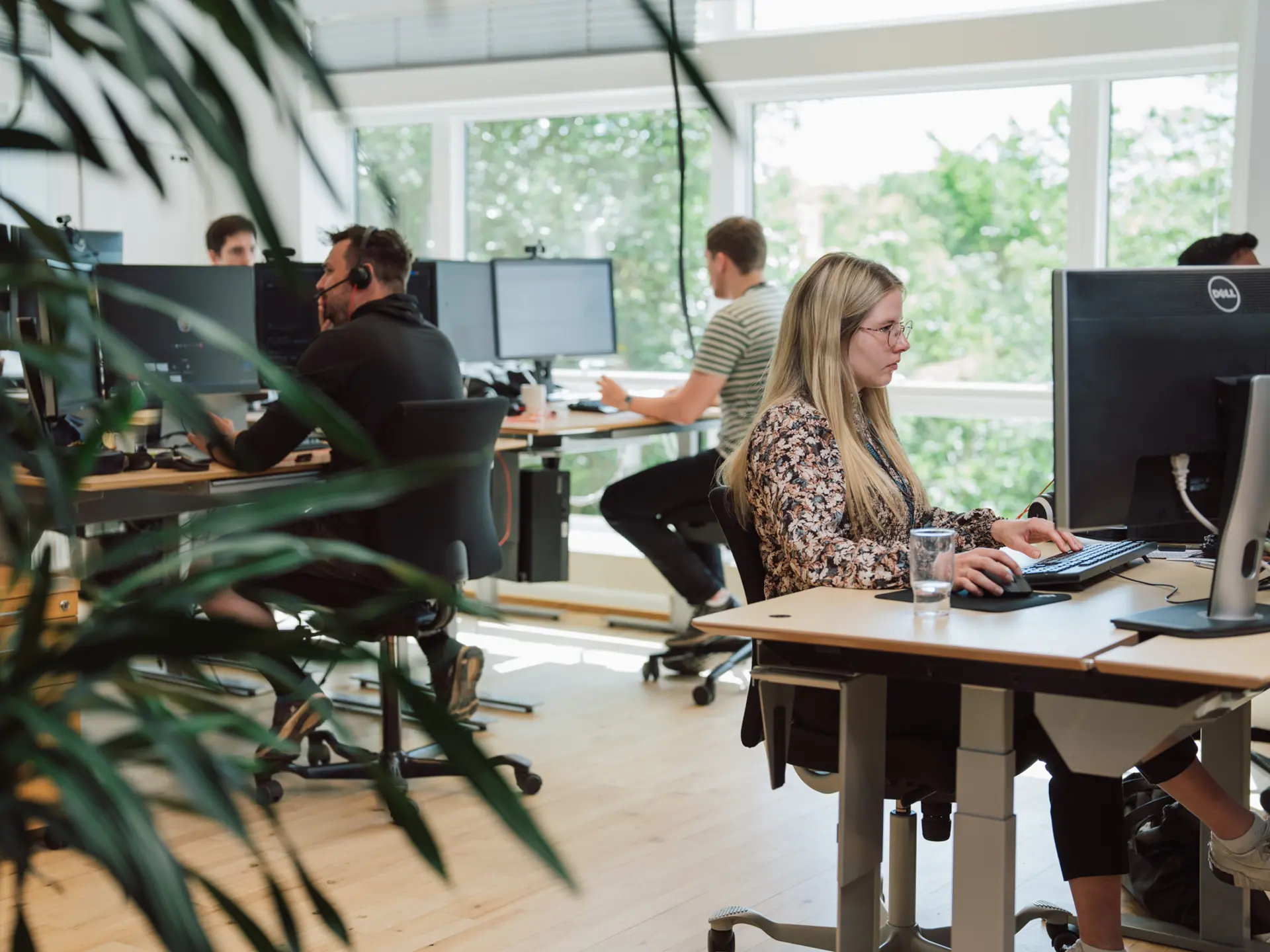 Employees working at Systematic office