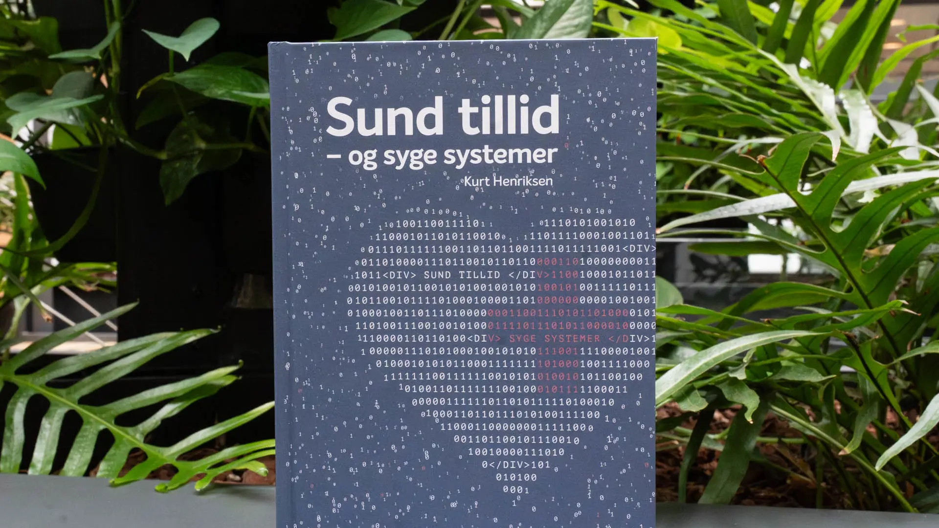 Bogen Sund tillid - og syge systemer