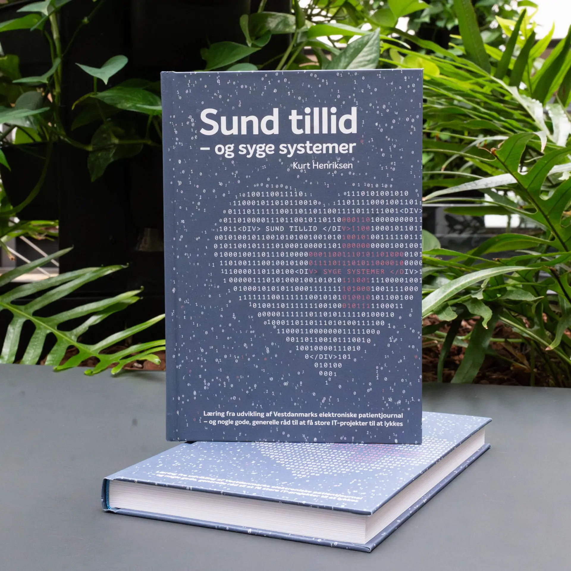 The book Sund tillid - og syge systemer (Healthy trust - and sick projects)