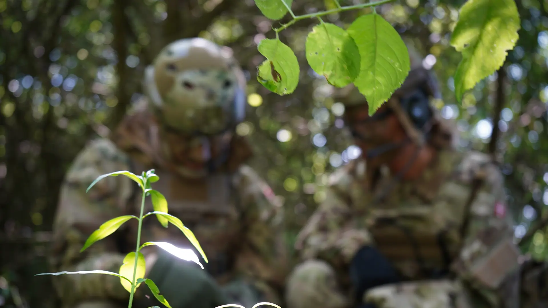 Two soldiers in camouflage uniforms and helmets are blurred in the background, sitting in a forest environment with green leaves and sunlight in focus in the foreground.