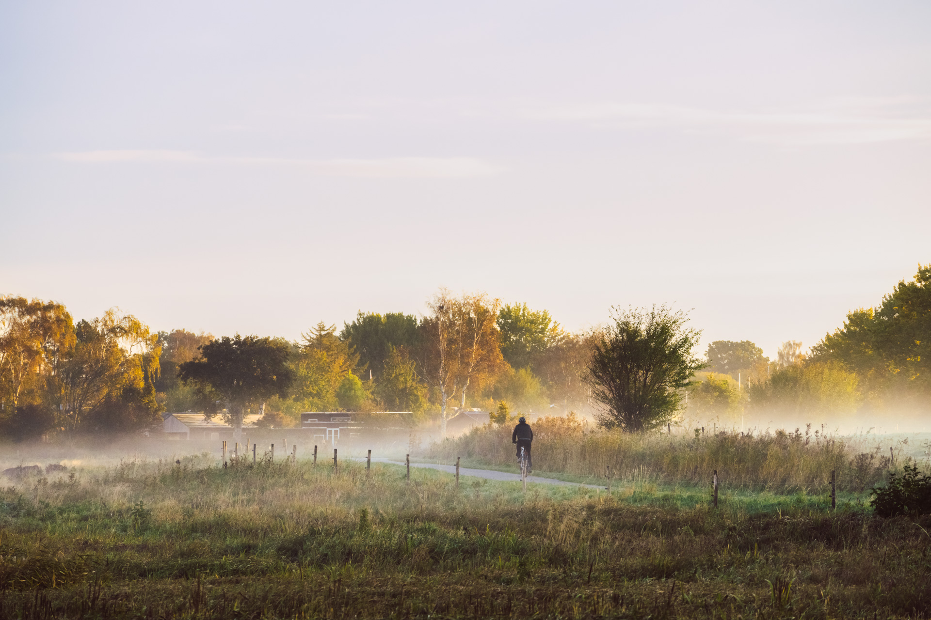 Cyclist riding on a rural path through misty fields at sunrise with autumn trees in the background.