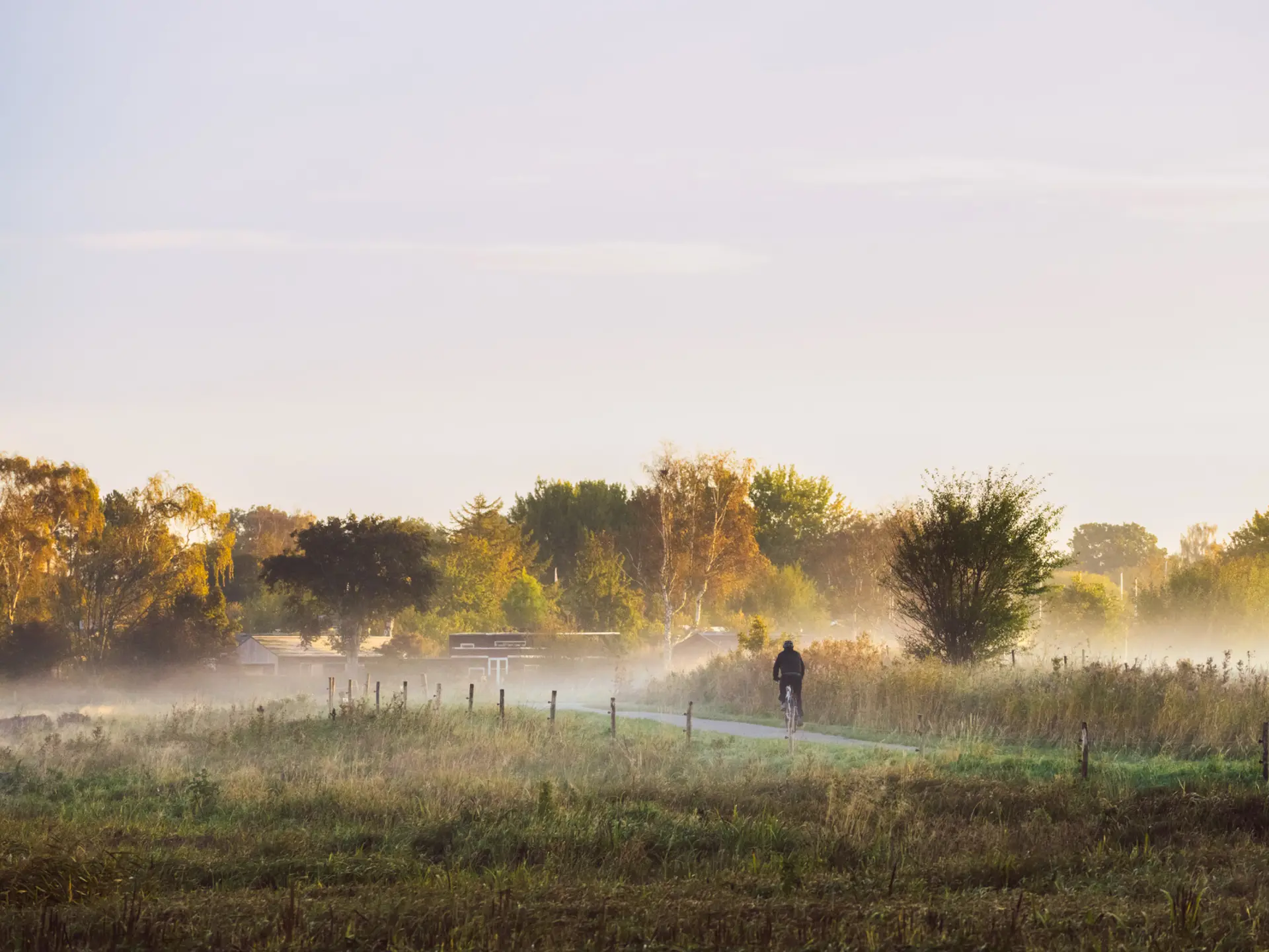 Cyclist riding on a rural path through misty fields at sunrise with autumn trees in the background.