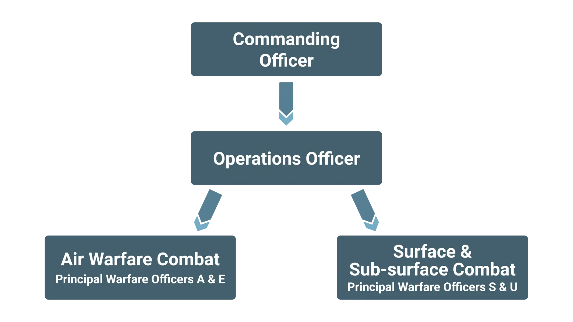 Figure 3: Combat Team structure