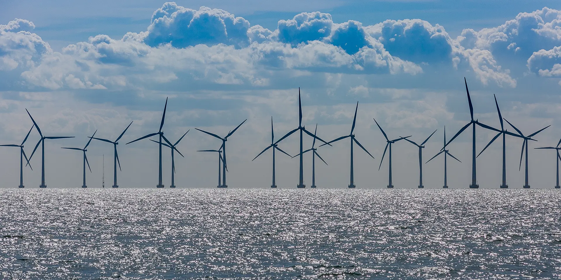 Wind Farm In The Horizon